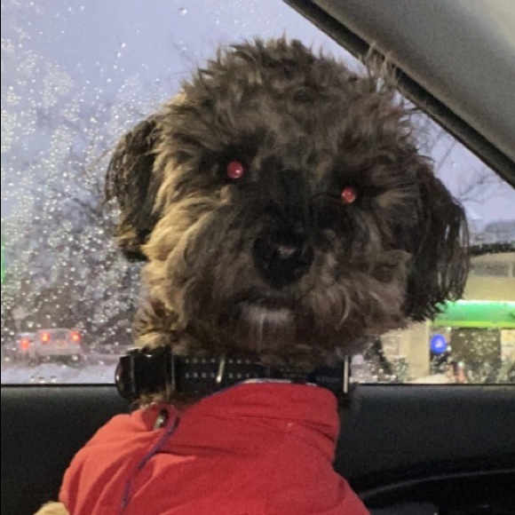 Meet the Posher Other - Meet your Posher, Nicole